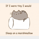 a-super-twiggy-kitty avatar