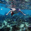 a-surfer-blog avatar