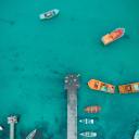 a-talking-anal-cucumber avatar