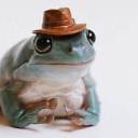 a-tiny-frog-with-a-hat avatar