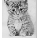 a-wendigo-and-his-mongoose avatar