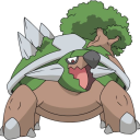 a-wild-torterra avatar