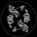 a-wilting-wallflower avatar