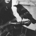 a-witch-and-a-crow avatar