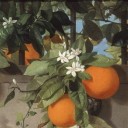 a-witches-brew avatar