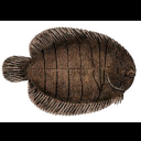 a-wondering-sole17 avatar