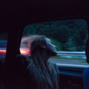 a-wonderland-of-nightmares avatar