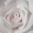 a-world-of-wonderful-words avatar