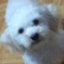 aaaaaagggghhhhhhhhhhhhhh avatar