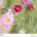 aaaagaaao-blog avatar