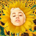 aaalex-in-wonderland avatar