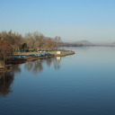 aaayyitsashleyyy avatar