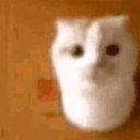 aaiiiiiiiiiii avatar