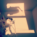 aalexandrablr avatar