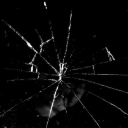 aamtreeanalogy avatar