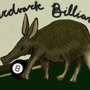 aardvarkbilliards avatar