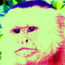 aaronmalibu-blog avatar