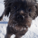 aaspiringhero avatar