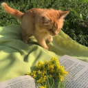 aaurorasandsadprose avatar