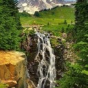 abandoned-marionette-reads avatar