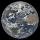 abbas-champion avatar