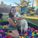 abbbiemarie13 avatar