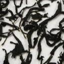 abbey-draws-cats avatar