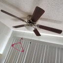 abby-is-a-girl avatar