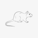 abby-mutlifan avatar