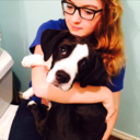 abbykilman-blog avatar