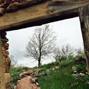 abbykraftowitz avatar