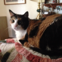 abbyprincess2 avatar