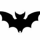 abcdefghijklmnopqrstuwvxyz avatar