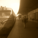 abdelrahman-fayez avatar