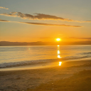 abductioncity avatar