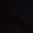 abdullahwaleed avatar