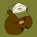 abearinthewoods avatar