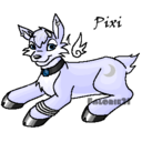 abearplaysneopets avatar