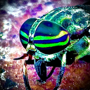 abeautifulbitingfly avatar