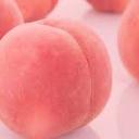 abeautifulcherryblossom avatar