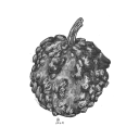 abelien-draws avatar