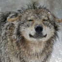 aberakadaniel avatar