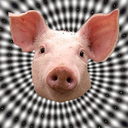 abeszelodiszno avatar