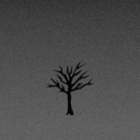 abicruz2-blog avatar