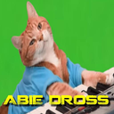 abiedross avatar