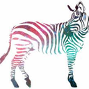 abigailcaceresf avatar