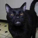 abigaildelphine avatar