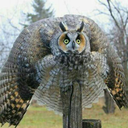 abigolboxofthings avatar