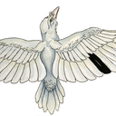 abilkeillustration avatar