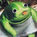 abisexualfool avatar